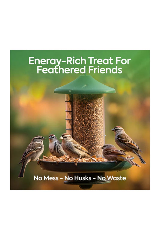 10 kg No Mess Seeds Mix - Beewarm Wild Birds Food