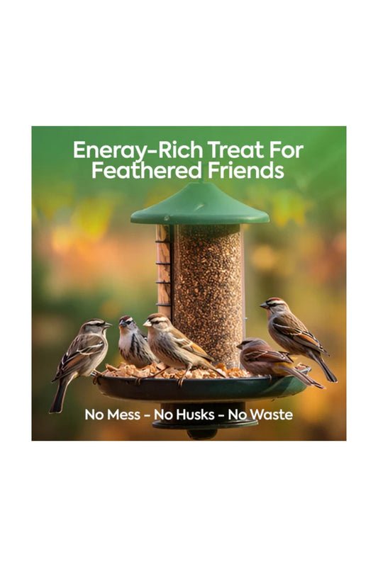 3L Bag No Mess Seeds Mix - Beewarm Wild Birds Food