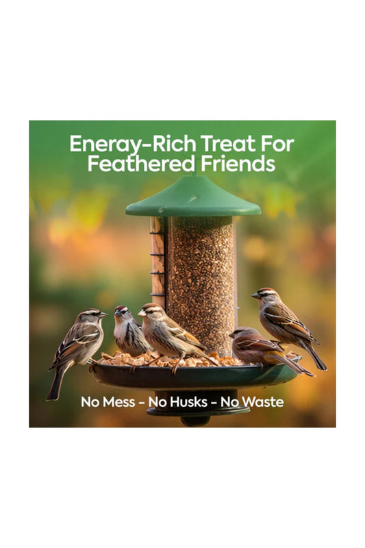 5L Bag No Mess Seeds Mix - Beewarm Wild Birds Food