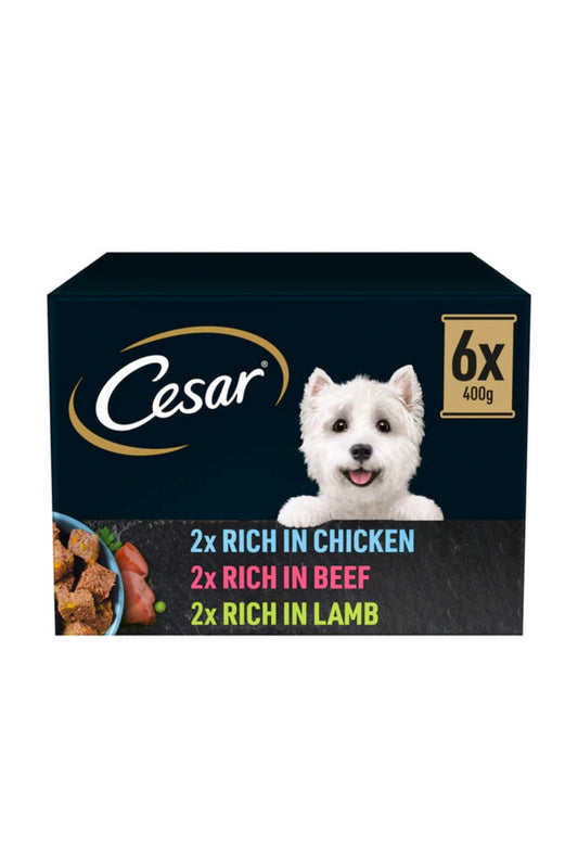Cesar Natural Goodness Can - Mixed Selection in Loaf 400g 6pk x 1