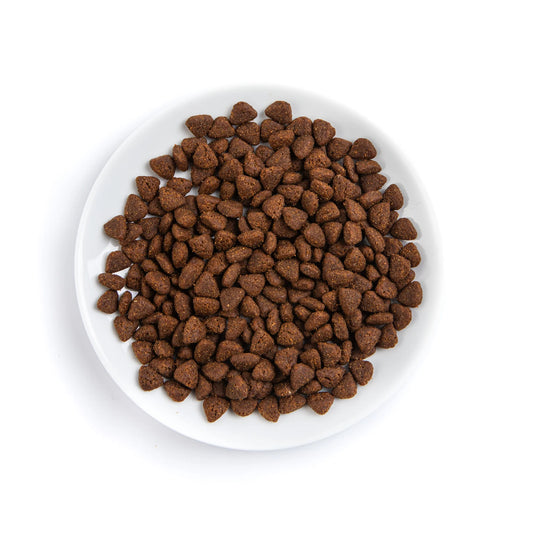 PremiumPlus Chicken Complete Dry Cat Food