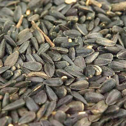 10kg  Black Sunflower Seeds- Beewarm Wild Birds Food
