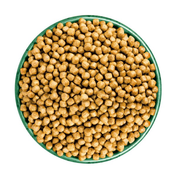 James Wellbeloved Senior Cat - Turkey & Rice 4kg x 1
