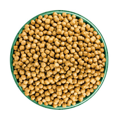 James Wellbeloved Senior Cat - Turkey & Rice 4kg x 1