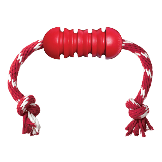KONG Dental with Rope Small x 1