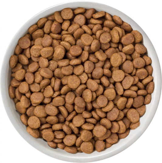 Selected Dry  Free Range Chicken For Adult Cats