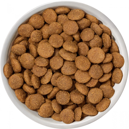 Selected Dry  No Grain Chicken For Adult Dogs