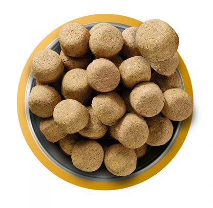 Complete Freeze Dried Food  80/20 Chicken For Adult Dogs