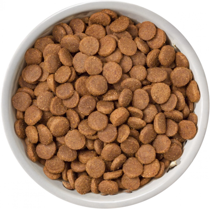 Selected Dry  FREE RANGE CHICKEN For Puppies