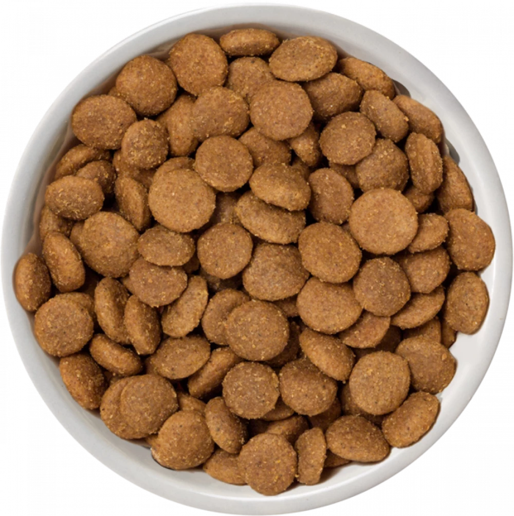 Selected Dry  Free Range Chicken For Adult Dogs