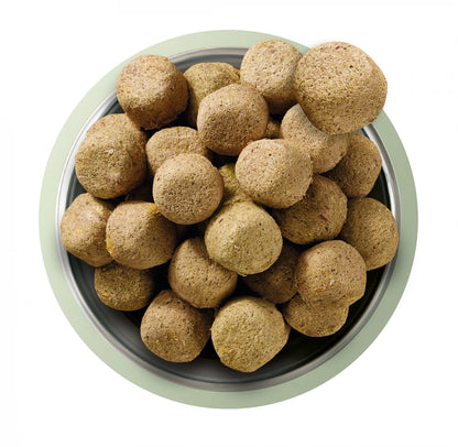 Complete Freeze Dried Food  80/20 Lamb For Adult Dogs