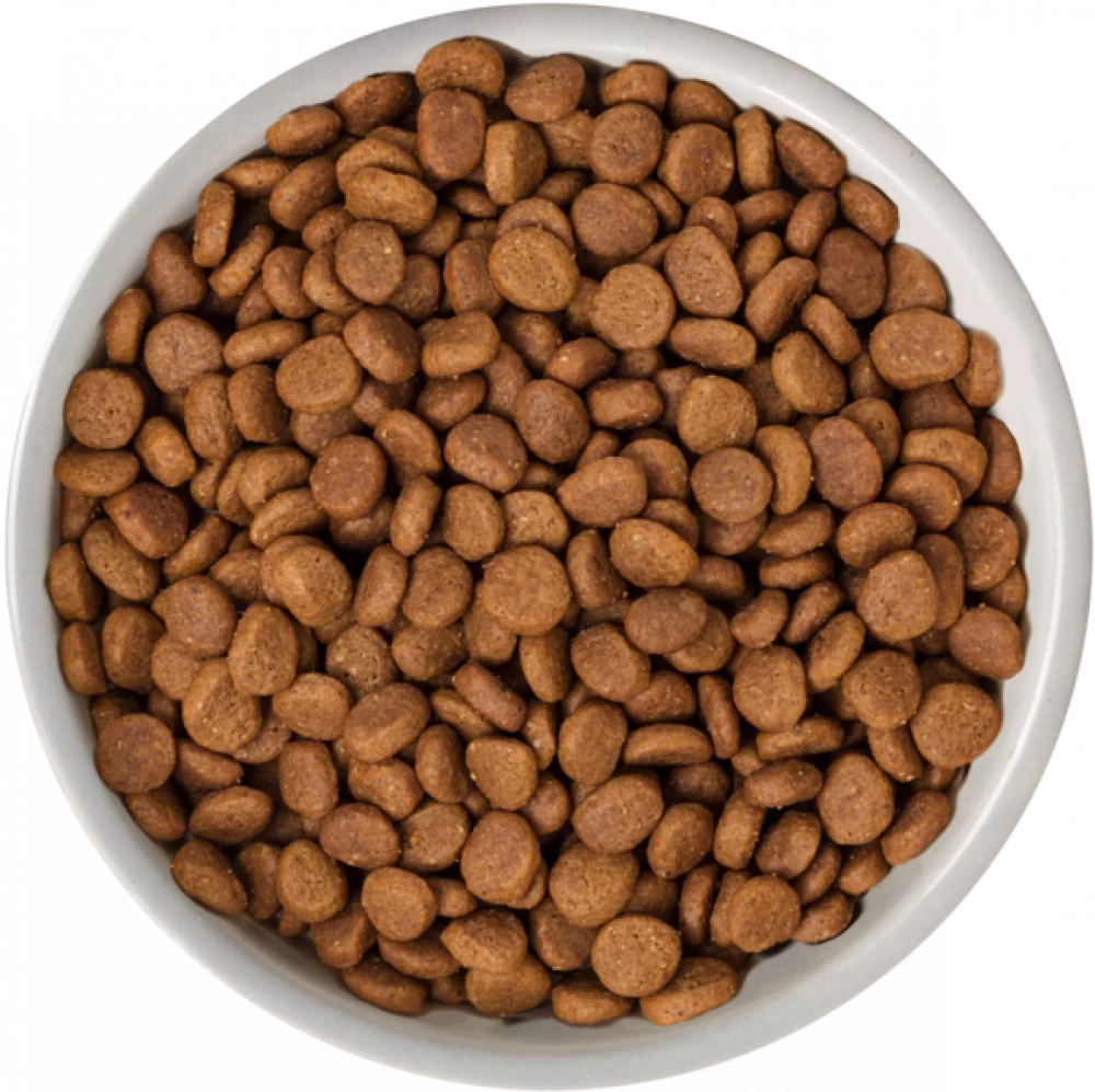 Selected Dry  Norwegian Salmon No Grain For Adult Cats
