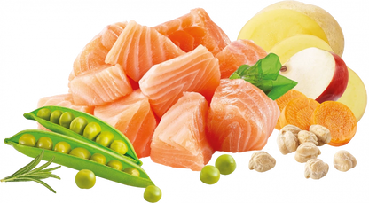 High Meat Dry  High in Meat Salmon No Grain For Adult Cats