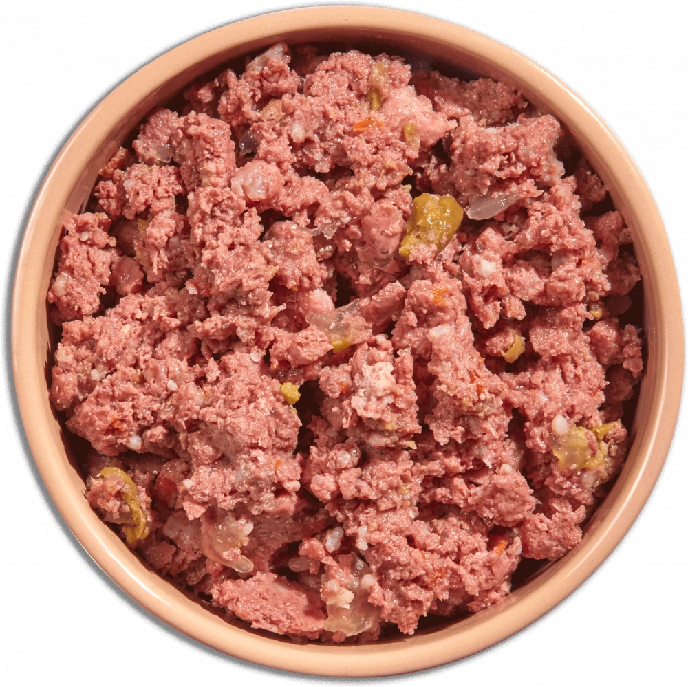Natures Menu Dog Pouches  Senior Lamb with Chicken For Dogs