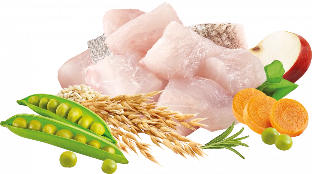 High Meat Dry  Hign in Meat White Fish Healthy Grain For Adult Cats