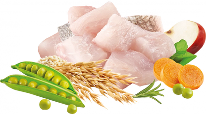 High Meat Dry  Hign in Meat White Fish Healthy Grain For Adult Cats