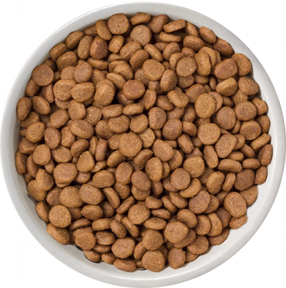 Selected Dry  Free Range Chicken For Adult Cats