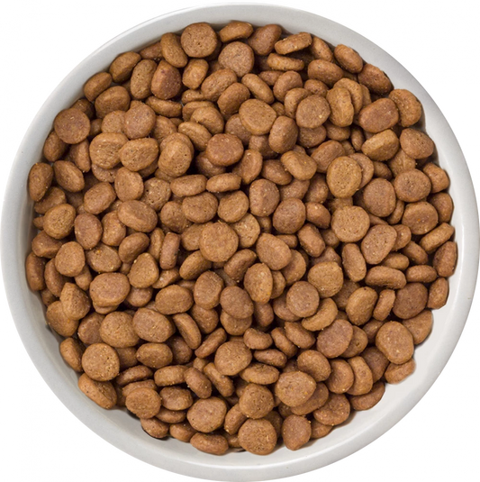 Selected Dry  Free Range Chicken For Adult Cats