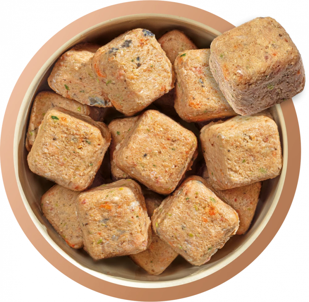 Natures Menu Complete & Balanced Raw  80/20 Salmon and Chicken with Superfoods For Adult Dogs