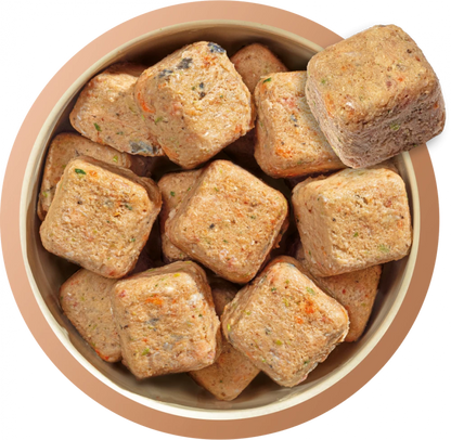 Natures Menu Complete & Balanced Raw  80/20 Salmon and Chicken with Superfoods For Adult Dogs