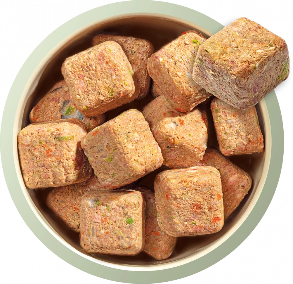 Natures Menu Complete & Balanced Raw  60/40 Lamb with Chicken, Salmon, Vegetables and Brown Rice For Adult Dogs