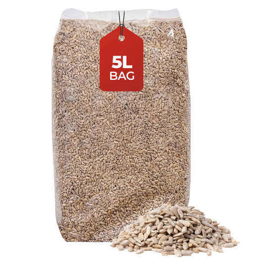 5L Bag - Sunflower Hearts - Beewarm Wild Birds Food
