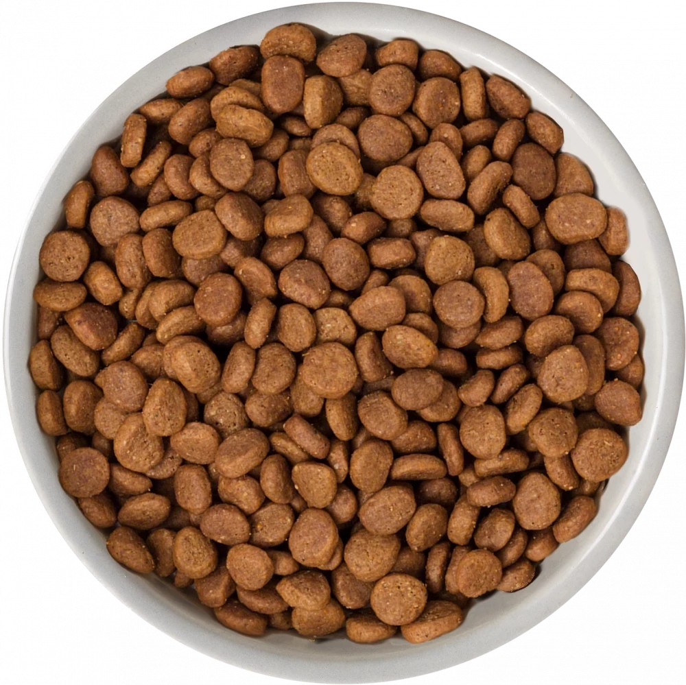 Selected Dry  Norwegian Salmon For Adult Cats