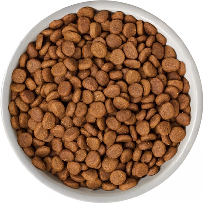 Selected Dry  Norwegian Salmon For Adult Cats