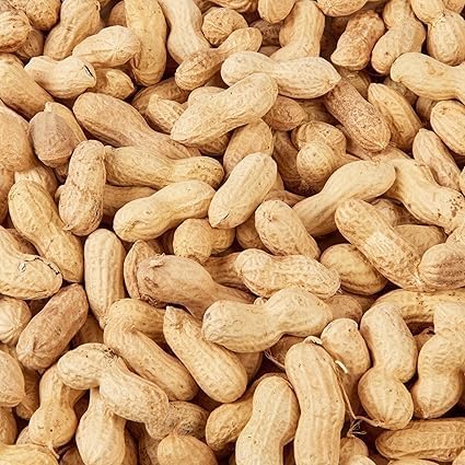 10kg Peanuts in Shell- Beewarm Wild Birds Food